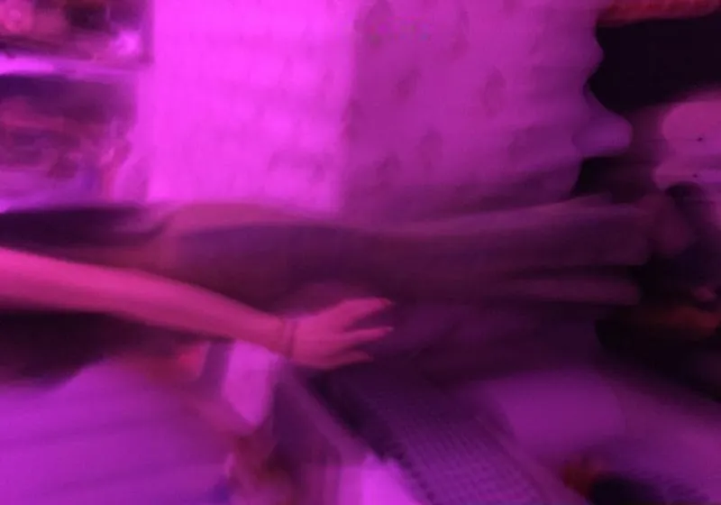 下沙燕子