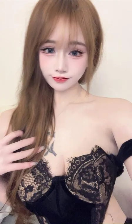 泉山猫猫老师