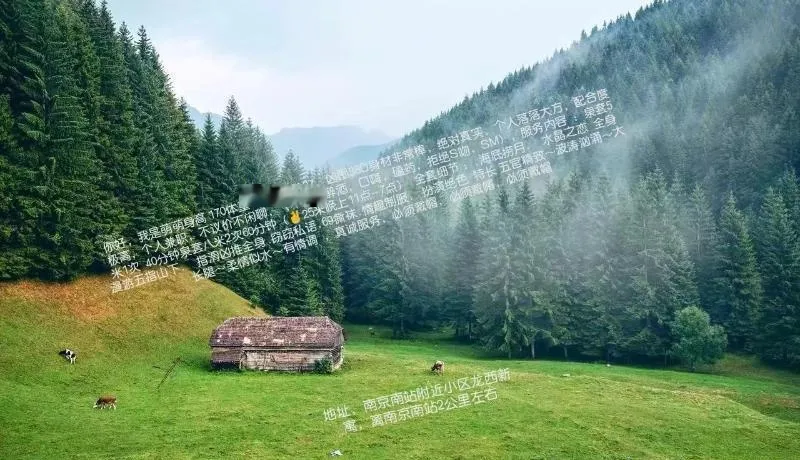 南站萌萌