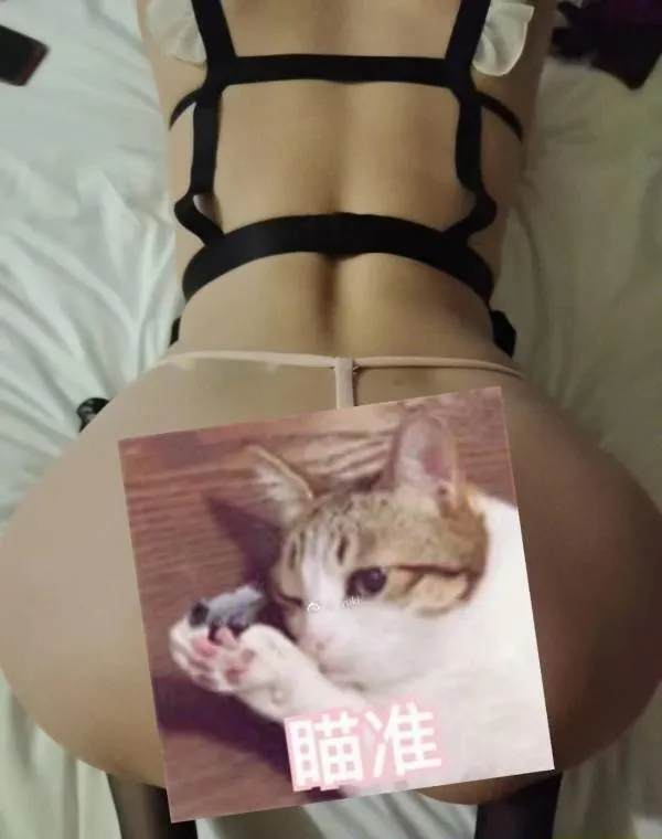 超会玩的晨晨回来了
