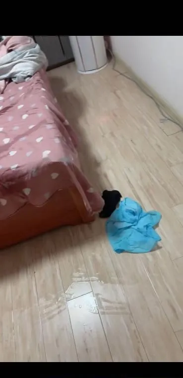沈阳铁西肥臀喷水妞