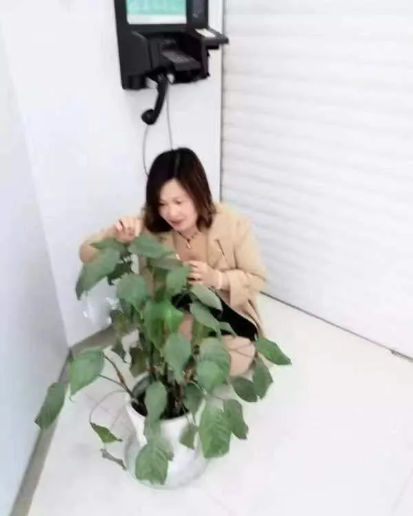 徐东美美