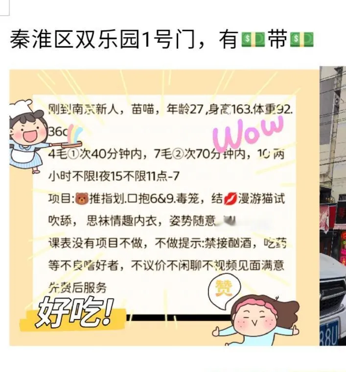 秦淮苗喵