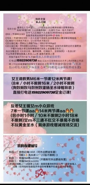 飞天小姐姐