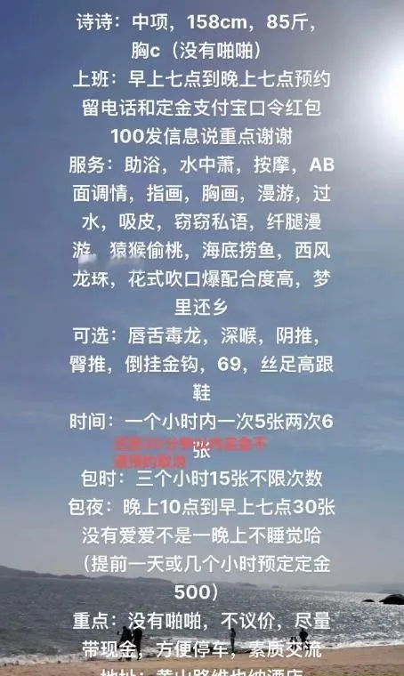 中项诗诗个人