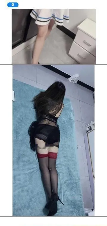 上海哈宝