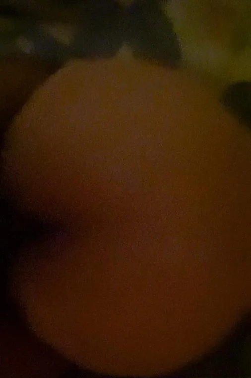 河北小肉臀