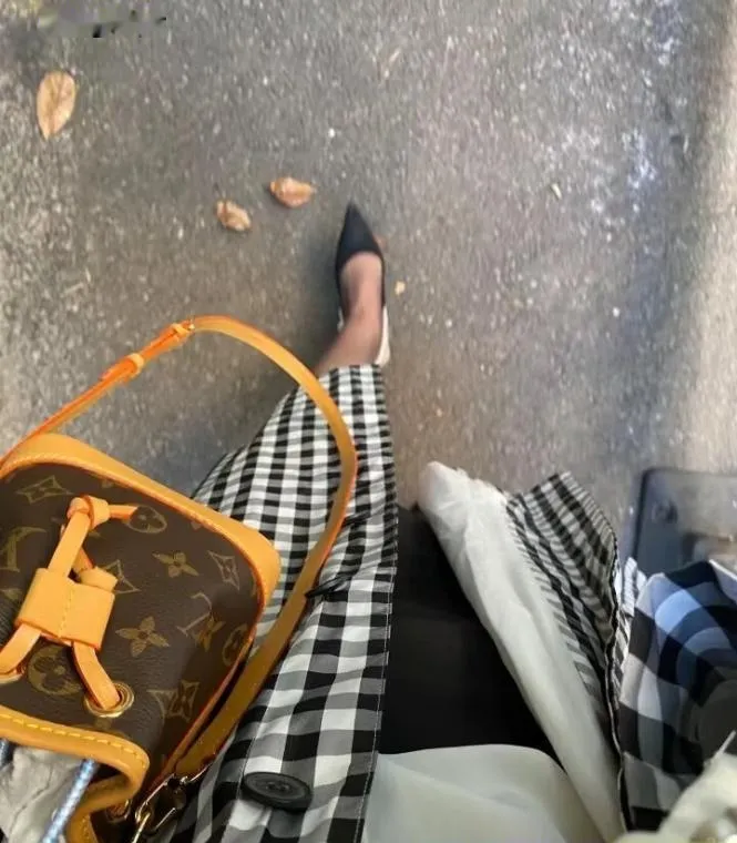 秦淮念念