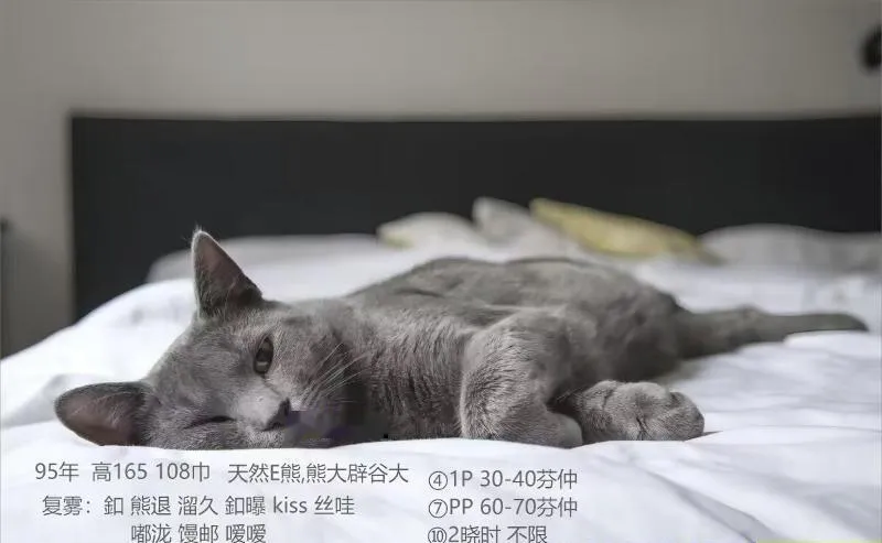 南京浮桥小美
