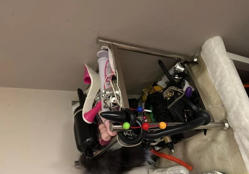 武侯女奴女王