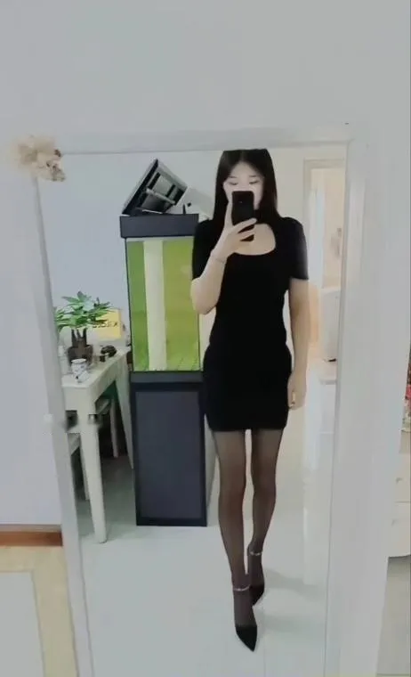 长安鱼儿