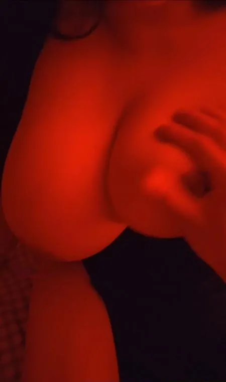 吴中小蝴蝶