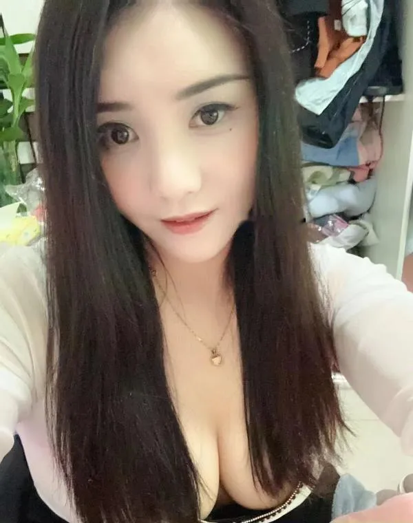 广州黄埔燕子