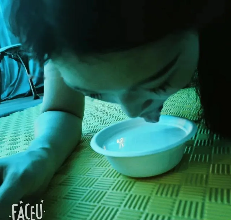 淫贱小母狗