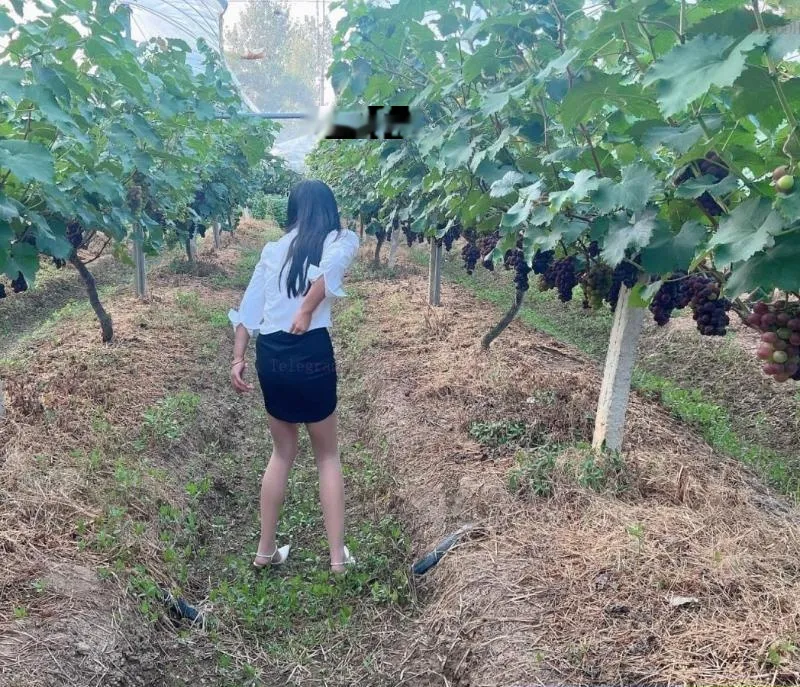 小巧玲珑骚逼少妇