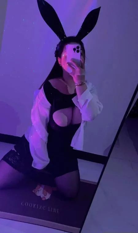 闵行大奶牛
