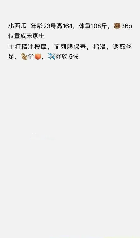 宋家庄环保小西瓜