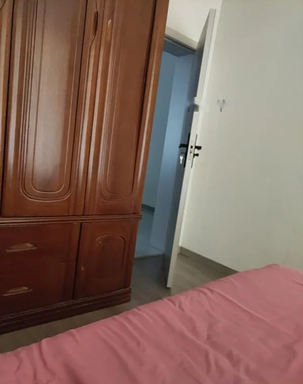 秦淮苗喵