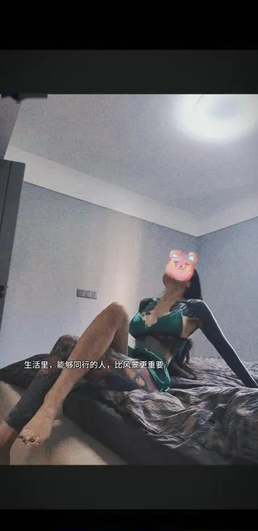 芜湖猫猫老师