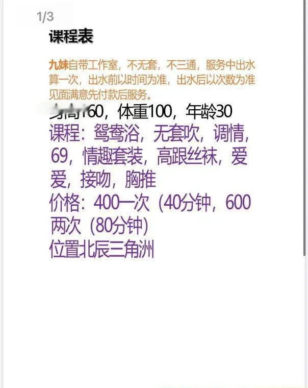 北辰美九妹