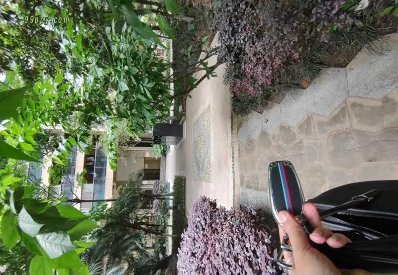 东门骚狐狸精