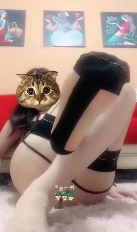 丝足小媳妇