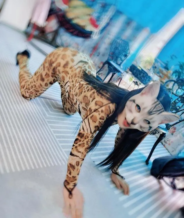 玩弄小母猫