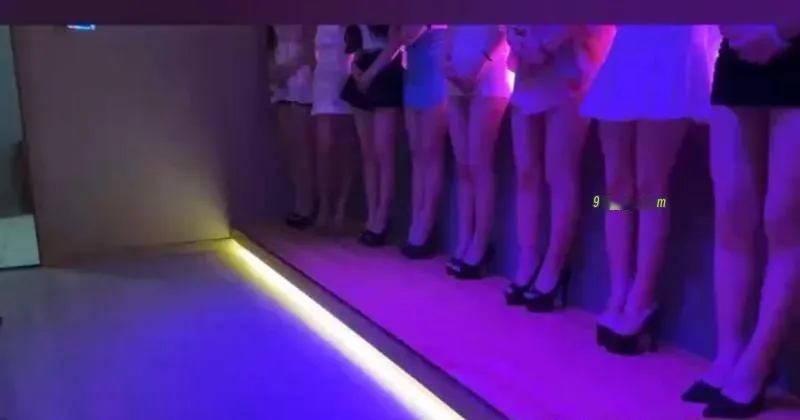 上海海选双飞不限次