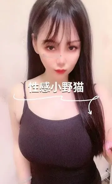洪山区小野猫