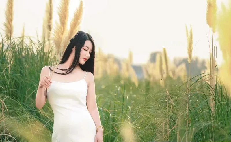 西安果儿