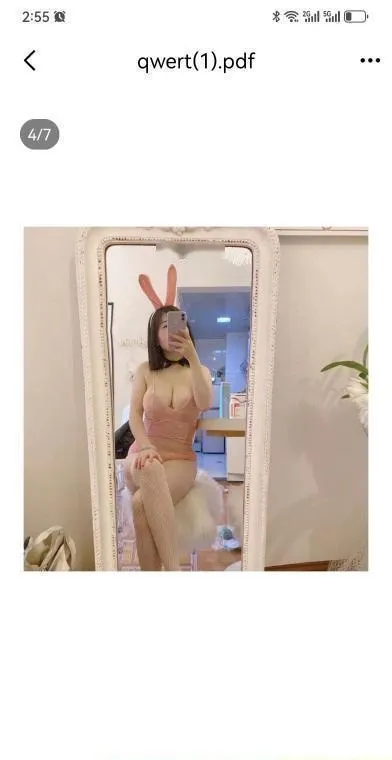 常州钟楼燕子