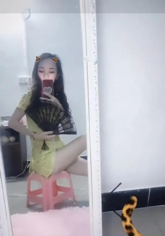东莞东城小叶