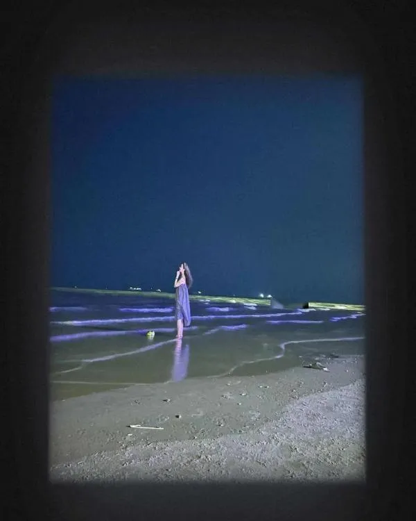 长腿小姐姐