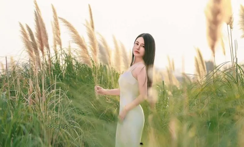 西安果儿