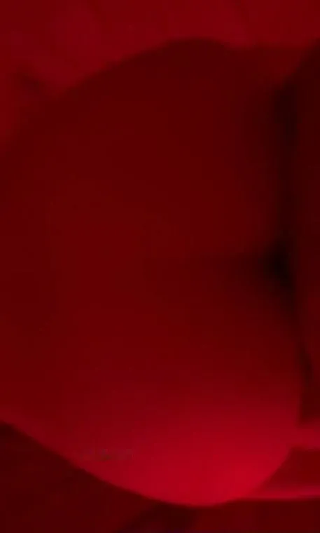 东郊大奶服务