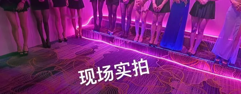上海高端海选全果4t